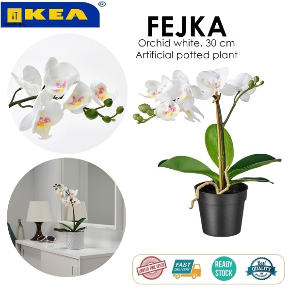 Lovely Ikea Artificial Orchid In Pot In Le1 Leicester For 4 00 For Sale Shpock