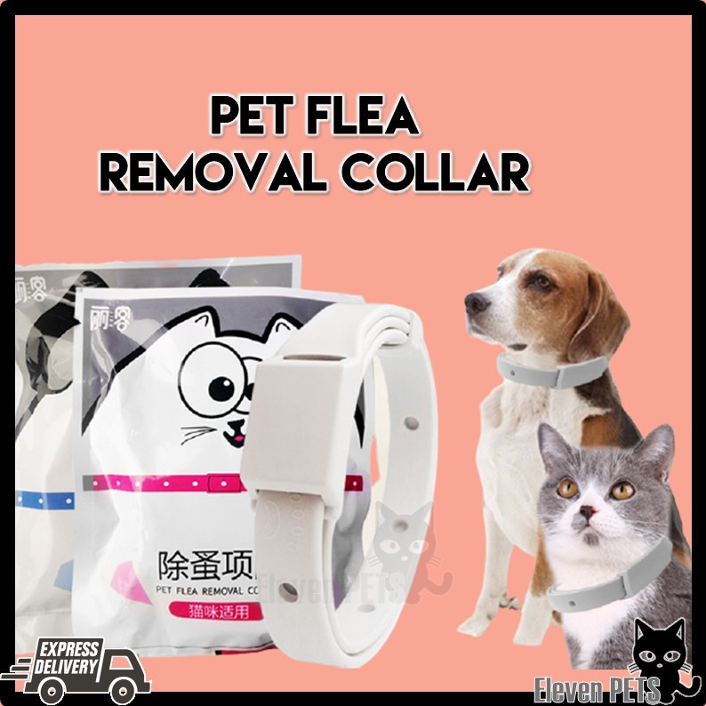 Anti Flea Collar For Cat & Dog (Anti Collar Bunuh Kutu Kucing, Anti