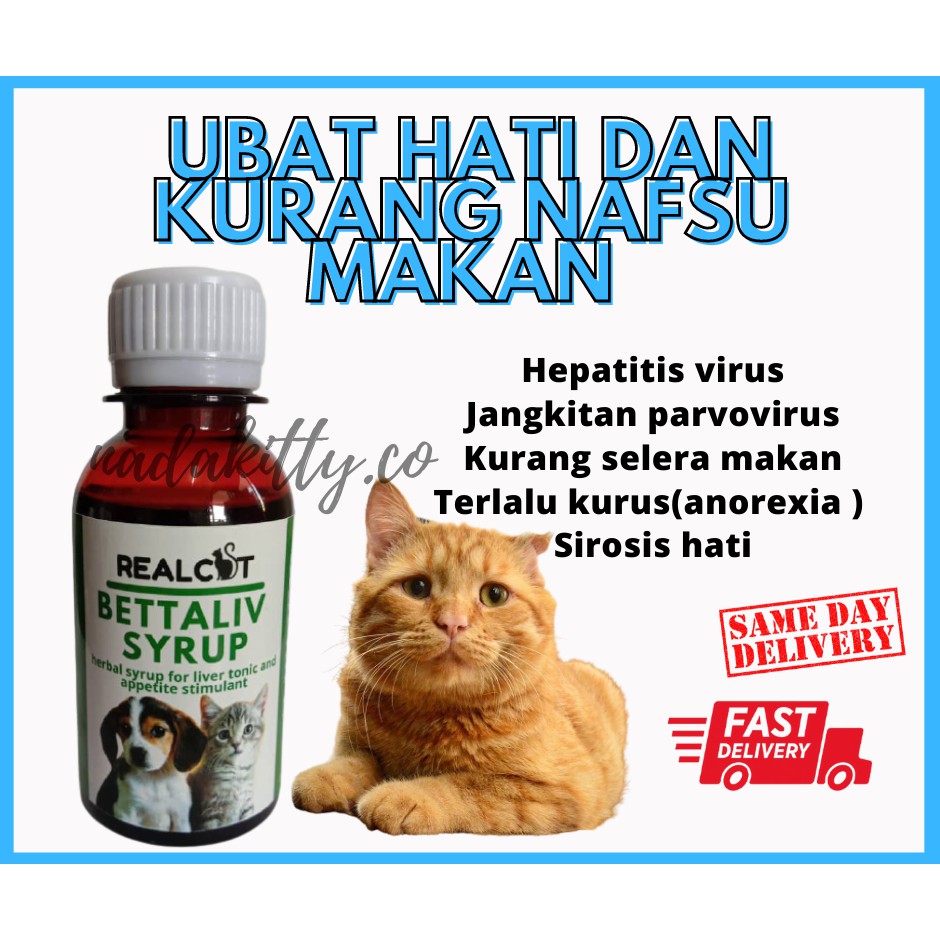 Ubat Hati Kurang Selera Makan Kucing 100ml Shopee Malaysia