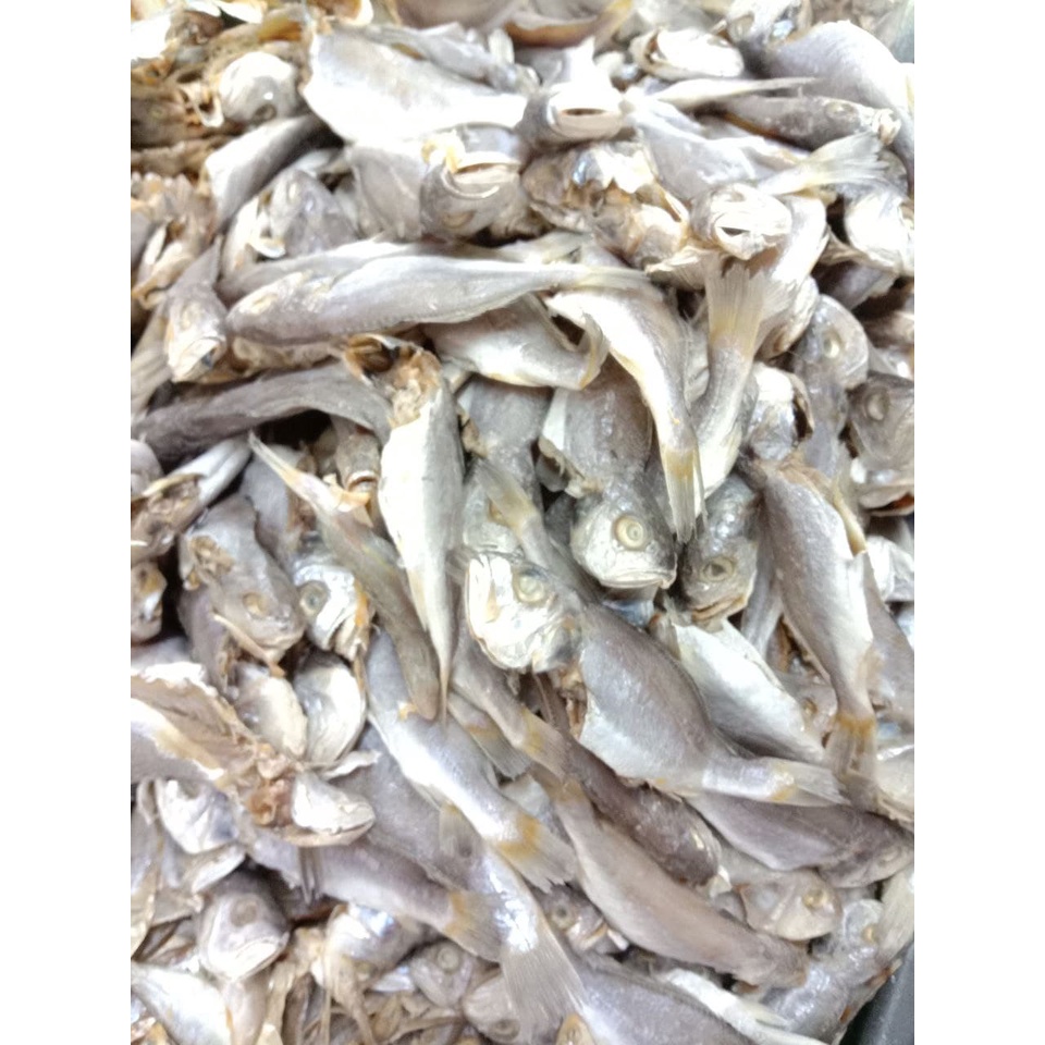[💯FRESH] IKAN GELAMA BULAT MASIN 0.5KG