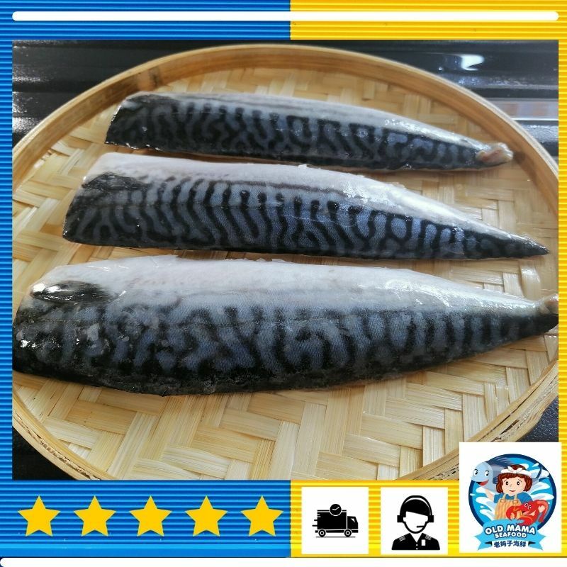 Premium Norway Saba Mackerel Fish Fillet / 挪威鲭鱼片无骨 3nos (500-600gm/pkt) Fresh Seafood - Old Mama Seafood