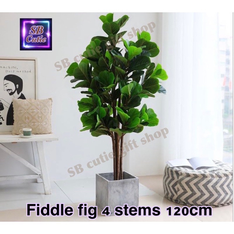 Artificial premium fiddle fig /money tree/yucca plant/tree/pokok hiasan