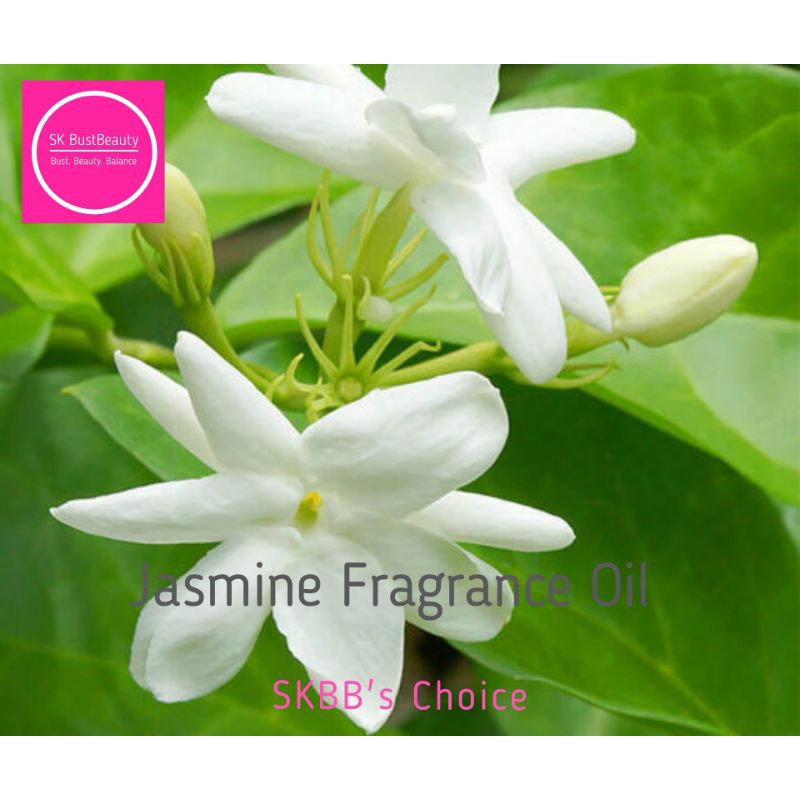 Jasmine Fragrance Oil/ Phthalate free and skin safe fragrance/ 500ml/ 1