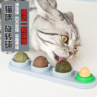 Cat Snacks味它宠物泰国原产进口金枪鱼猫罐头幼猫成猫咪湿粮零食170g 12罐 Shopee Malaysia