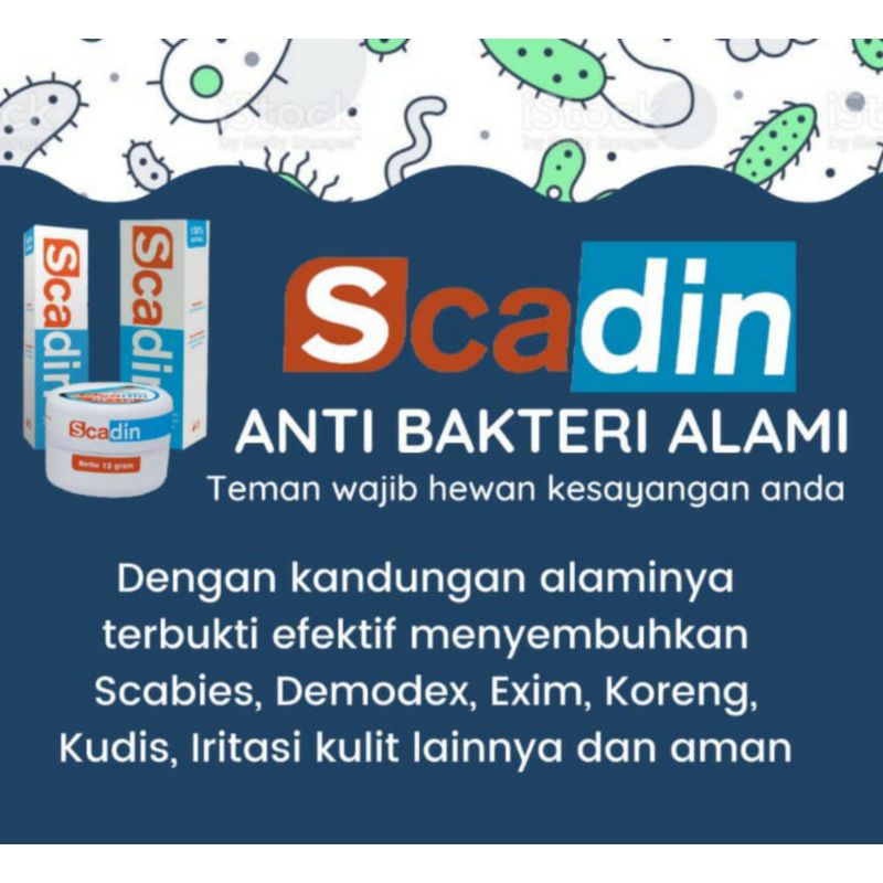 Scadin Ointment Cream Natural Natural Organic Spray Anti Scabies Demodex Exim Koreng Kudis Irritation Cat Dog Skin 30ml 100ml Cat