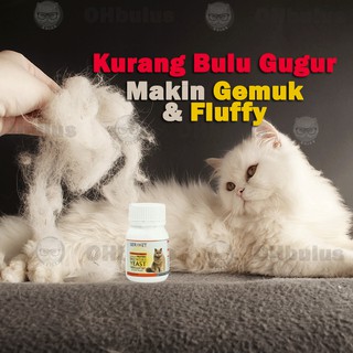 Supplement Rumput Hairball Remedi Penghadaman Kucing  Shopee Malaysia