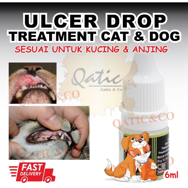 Fast Result Ubat Ulcer Ulser Mulut Kucing Sakit Mulut Kucing Cat Dog Ulcer Drop Shopee Malaysia