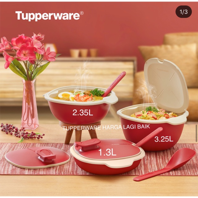Tupperware Warmie Tup (3)