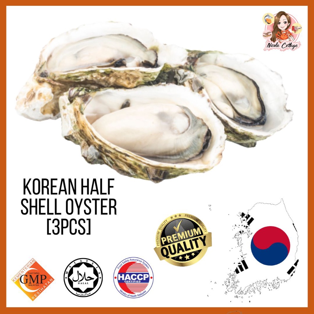 Half Shell Oyster/Korean Half Shell Oyster/Tiram Fresh 810cm 3pcs