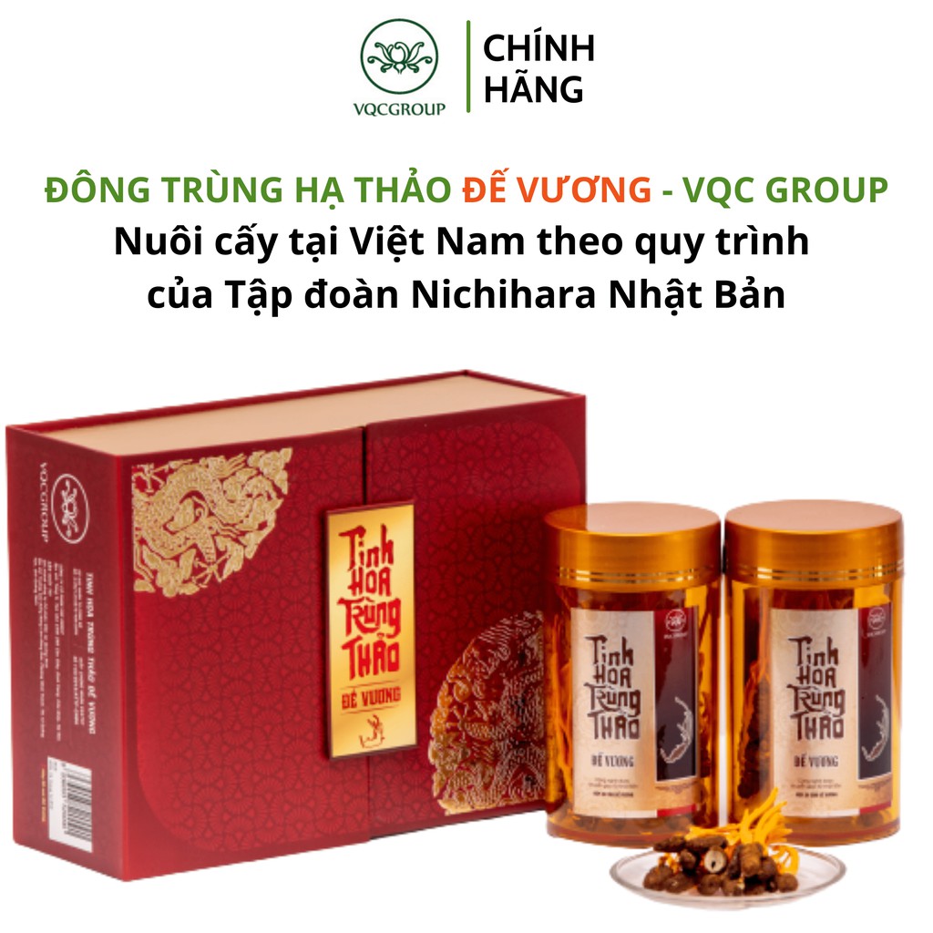 Cordyceps, cordyceps VQC group - natural wig, golden choice for health ...