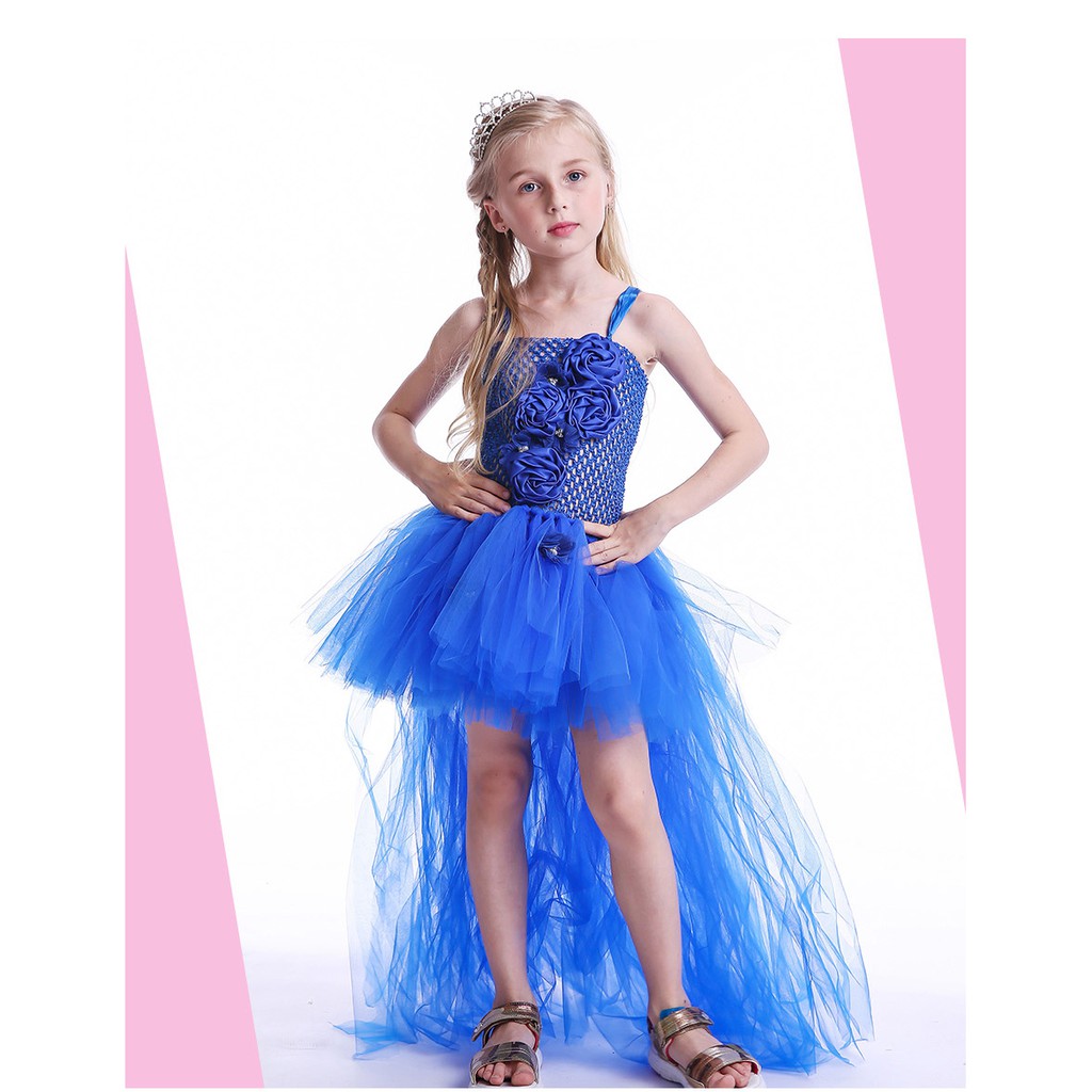 Royal Blue Flowers Girls Tutu Dress High Low Ice Princess Tulle