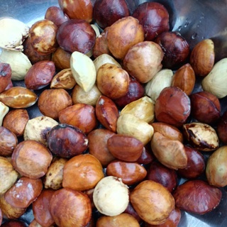 Note It Jengkol