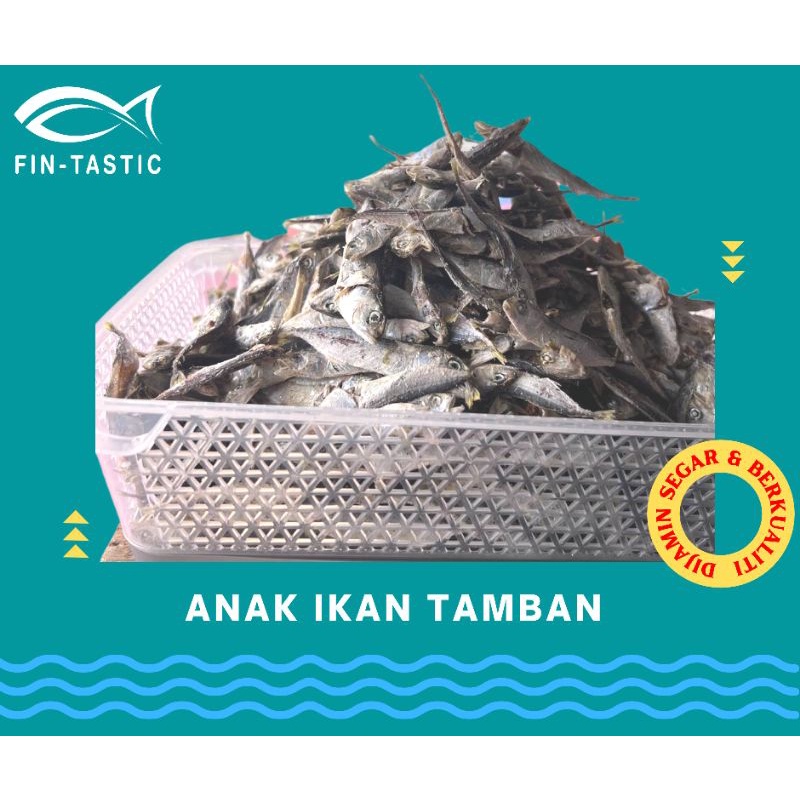 Anak Ikan Tamban Produk Tanjung Dawai