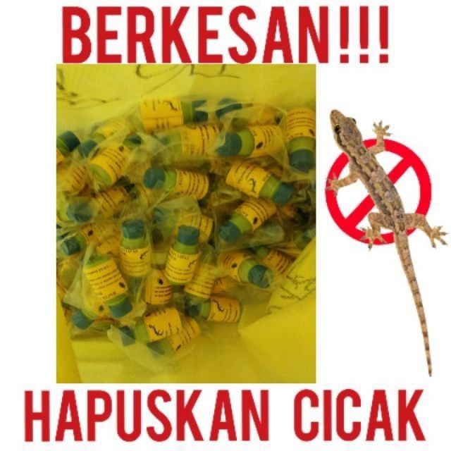 RACUN CICAK PALING PADU  Shopee Malaysia