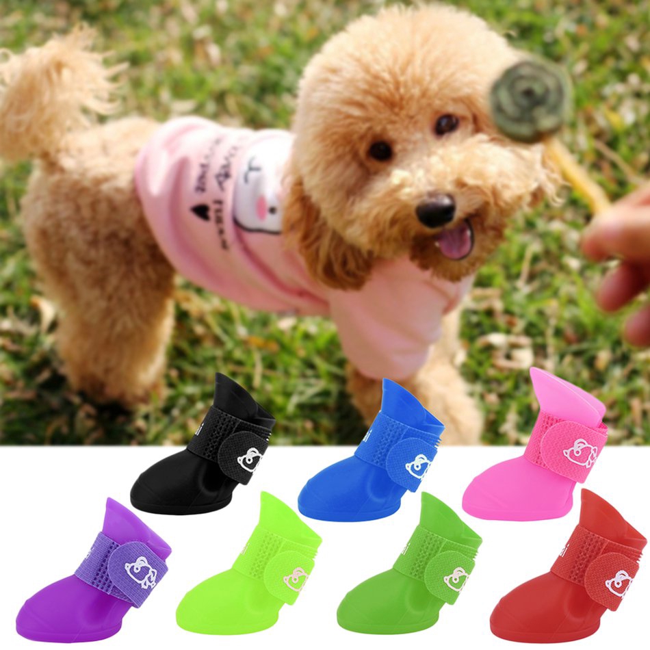 dog shoes shopee