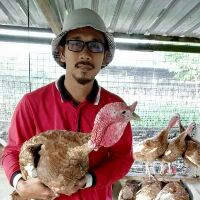 Ubat lembu, kambing, kuda, kerbau masalah paru-paru, cirit 