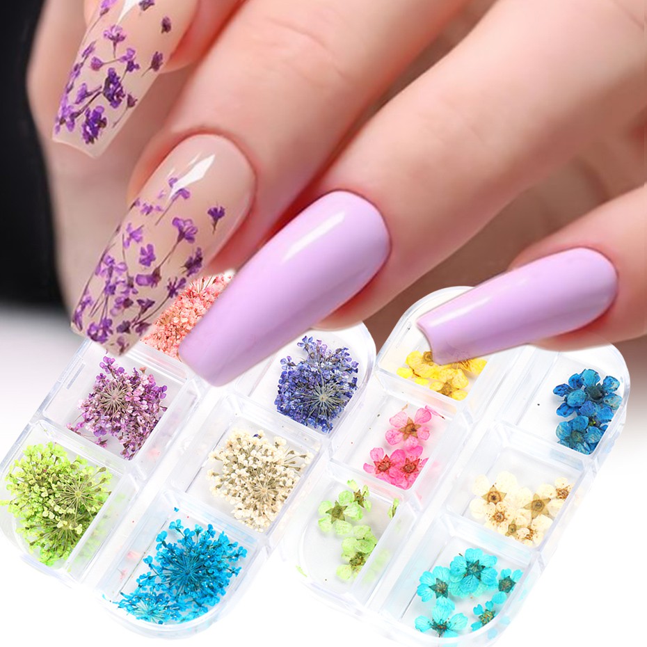 Monja Dried Flower Nail Decoration 3D Color Natural Plant Petal Leaf