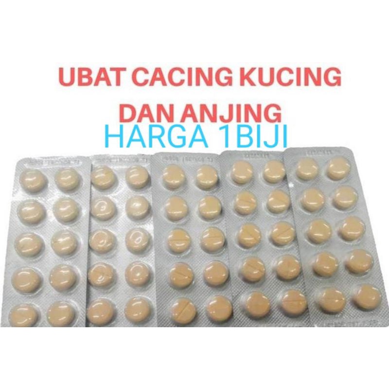Buy UBAT CACING TABLET KUCING / ANJING (1 biji )  SeeTracker Malaysia