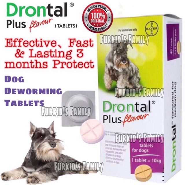 drontal bayer dog