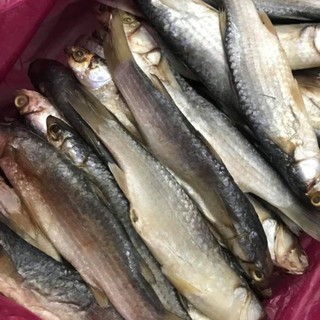 ikan belanak masam "sempoiiii" #makjangmah | shopee malaysia