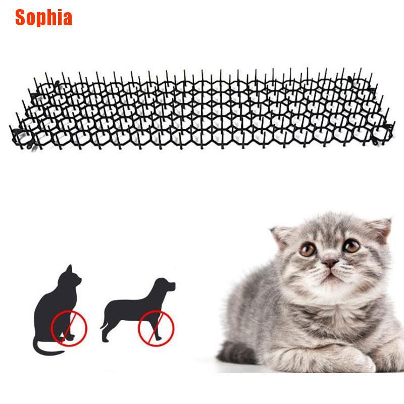 Buy [Sophia] 1Pcs 13Cmx49Cm Garden Prickle Strip Dig Stop Cat 