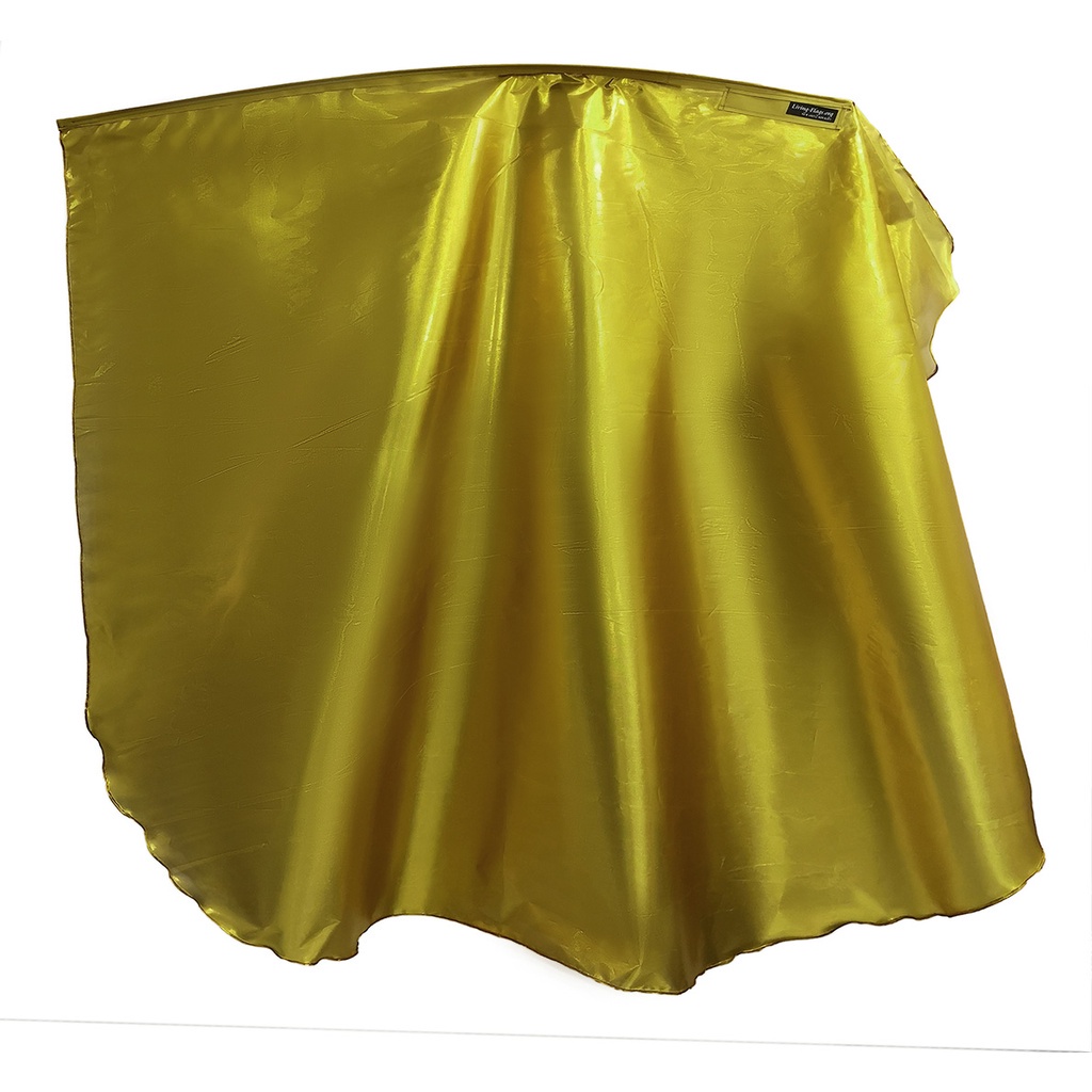 Shiny Metallic Gold Angelic Wing Flag (Single - 1 Flag) - WXLQ-Quill ...