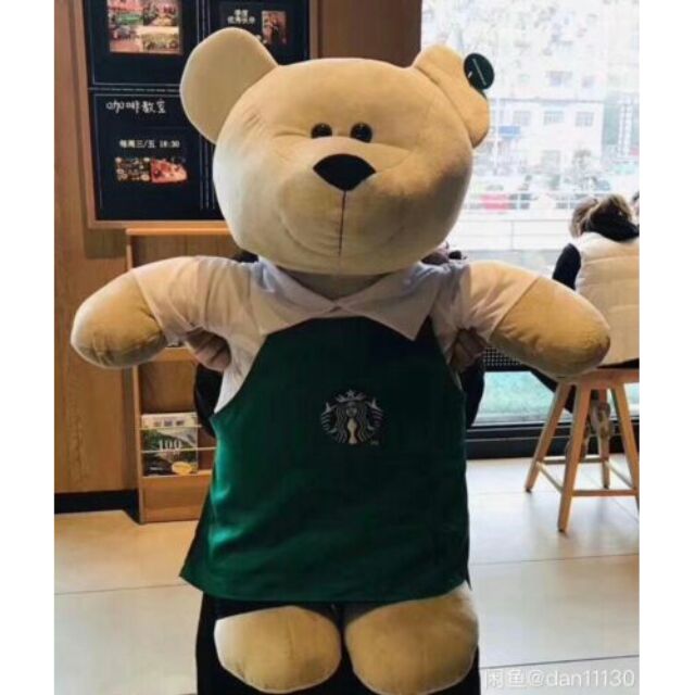 starbucks teddy