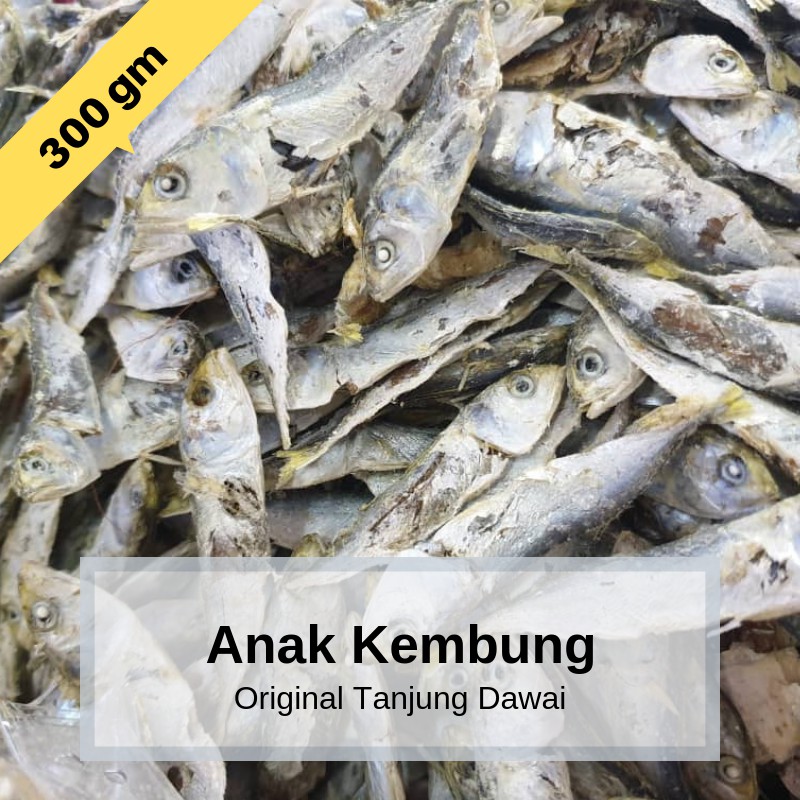 Ikan Kering Tanjung Dawai ¦ Ikan Masin ¦ Kembung ¦ Tamban ¦ Ikan Otek