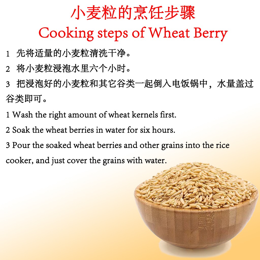 Organic Wheat Berry 有机小麦粒500g Lohas 米 麦 小麦小麦草14 Shopee Malaysia