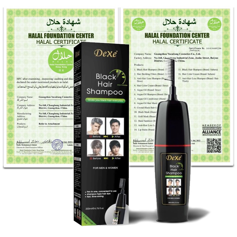 DEXE Black Hair Shampoo Hair Color Dye Shampoo with Comb for easy use