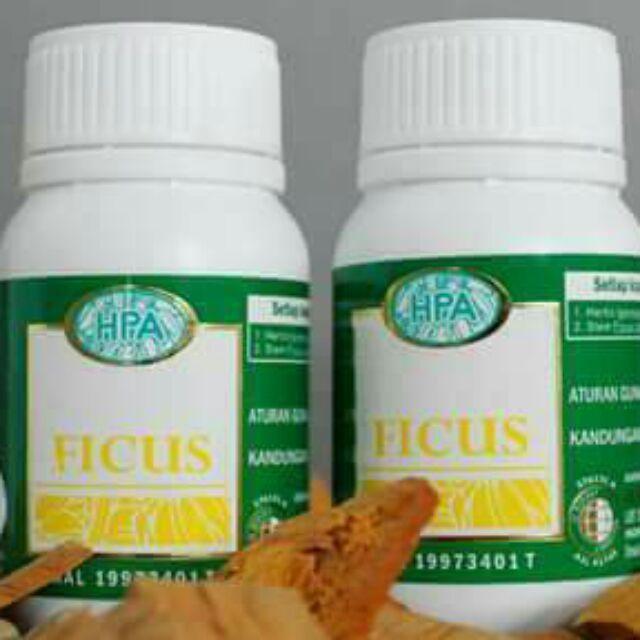 Ficus (Herba Buasir) - Offer Istimewa untuk Tempoh Terhad 