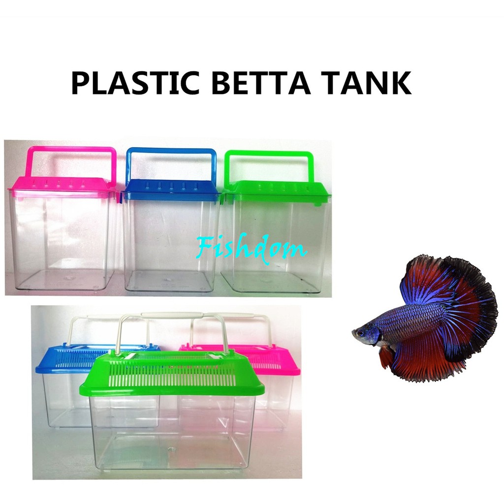 small plastic fish tank