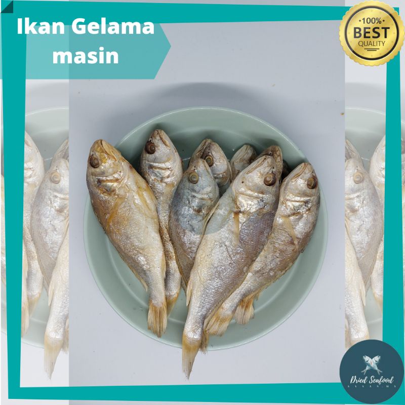 Ikan Gelama Masin 500grm Shopee Malaysia