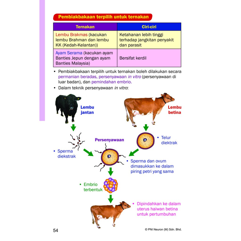 Modul Sba3013 Topik 6 Histologi Dan Anatomi Haiwan Contoh Haiwan