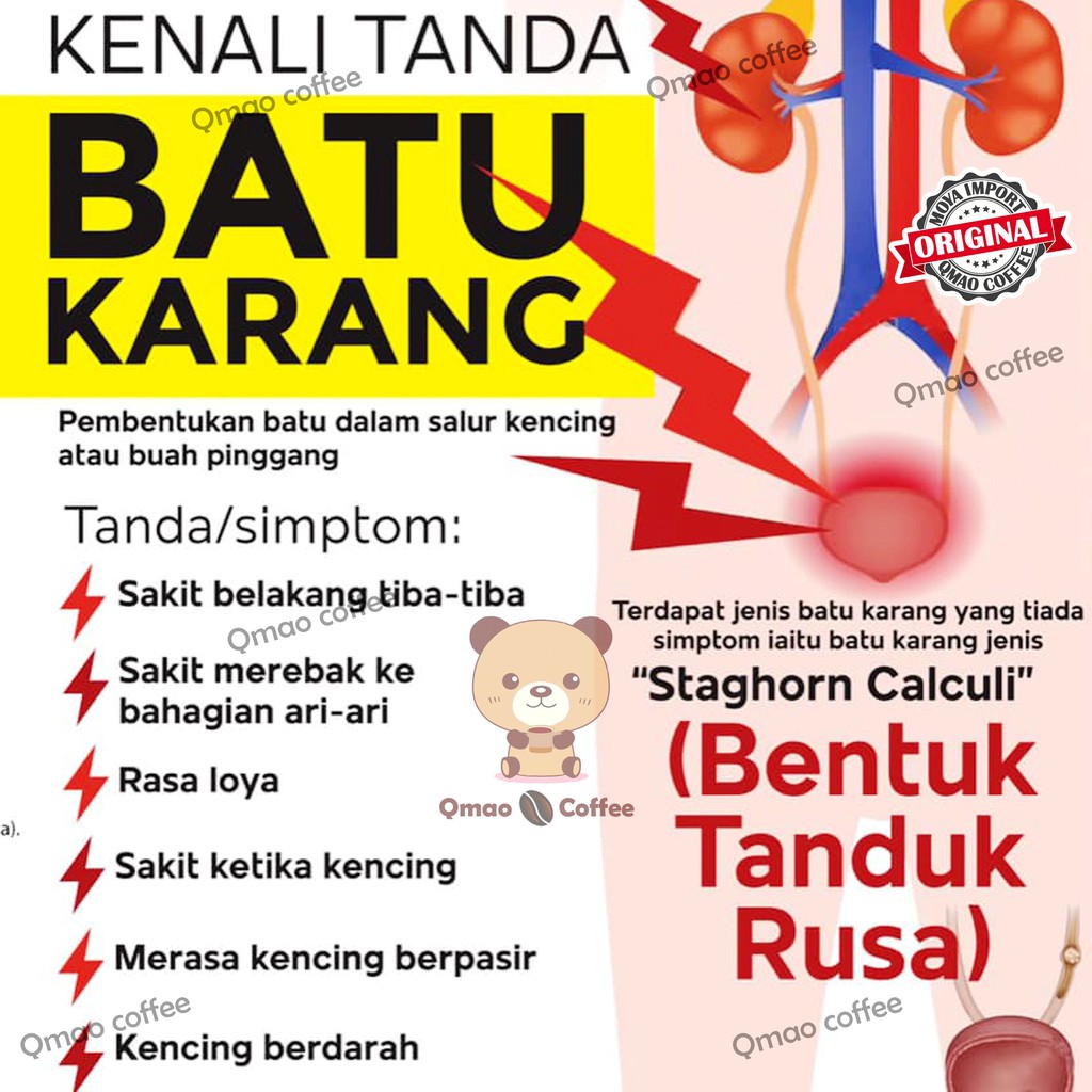 Ubat Batu Karang Hempedu Kidney Stone Pemecah Batu Karang Penyakit Batu Ginjal Kerap Kencing Sering Buang Air Shopee Malaysia