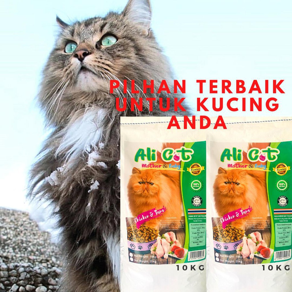 reflex cat food makanan kucing ♔Makanan kucing murah 10kg Ali cat