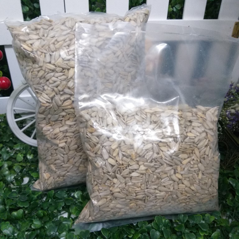 Sunflower Seed 太阳花瓜子raw 500 Gm 1 Kg Sjt 4721 Shopee Malaysia