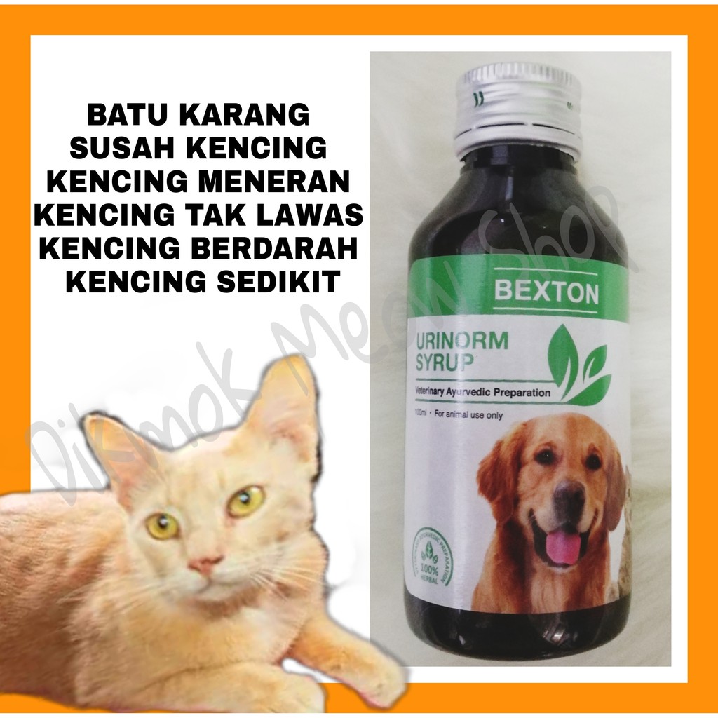 BATU KARANG KENCING TAK LAWAS BUAH PINGGANG KUCING ANJING 100ML 