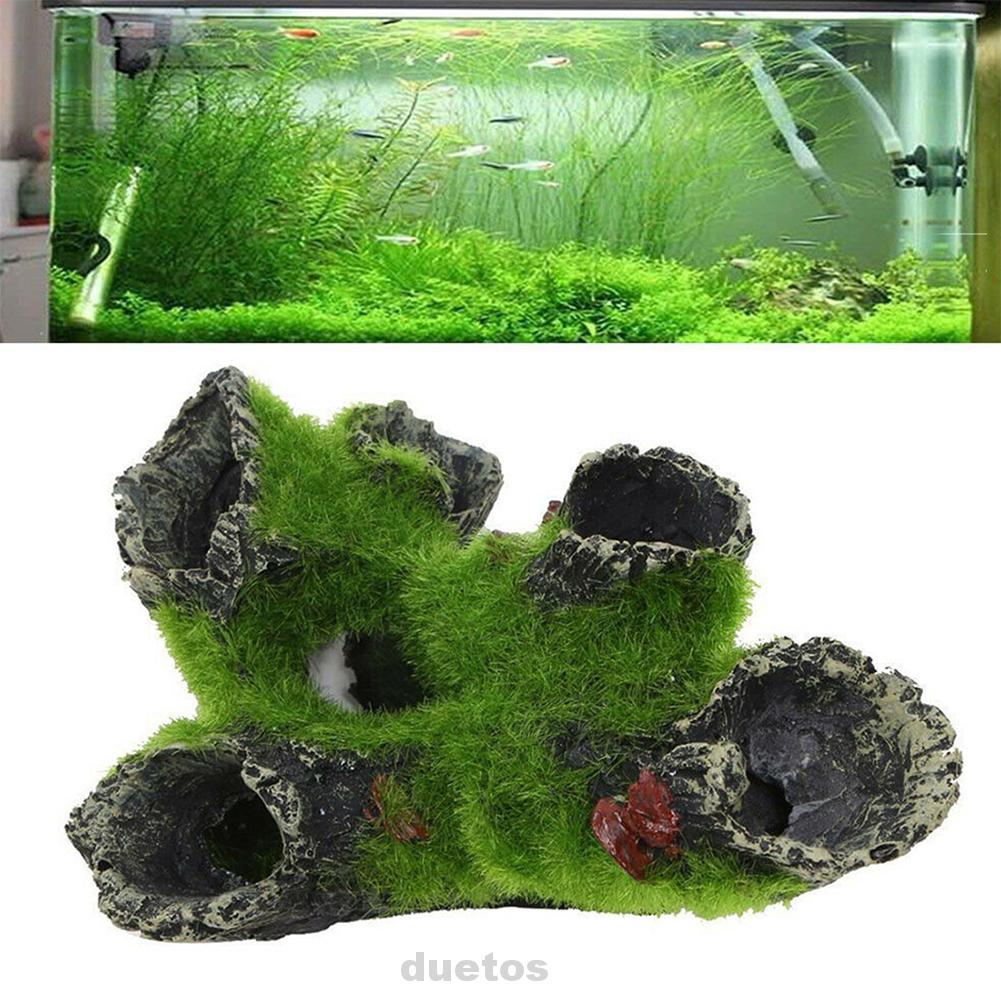 tree root aquarium ornament