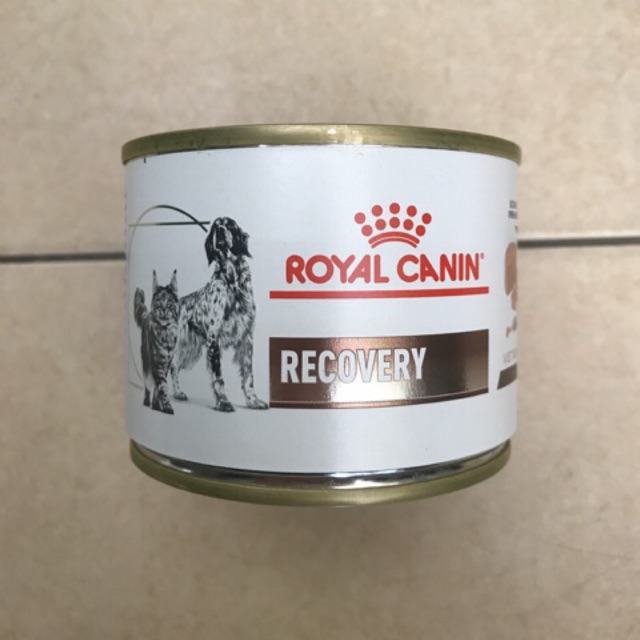  Royal Canin Recovery Can Pet Food 24pk