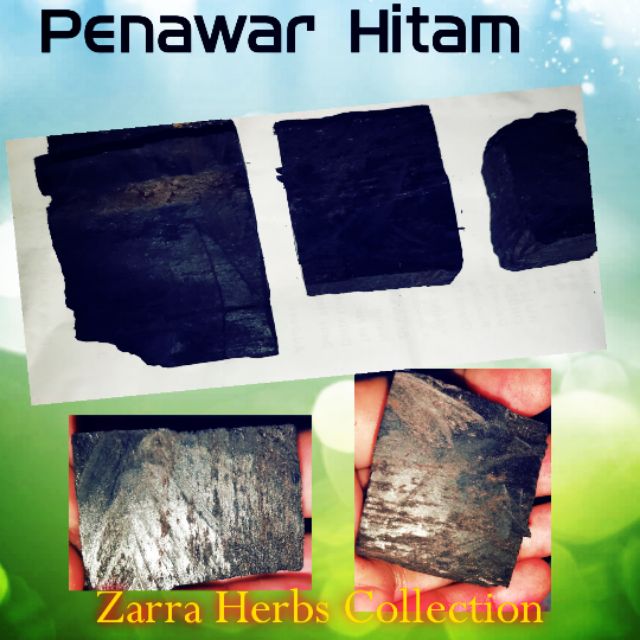 Kayu kemuning hitam dan khasiatnya