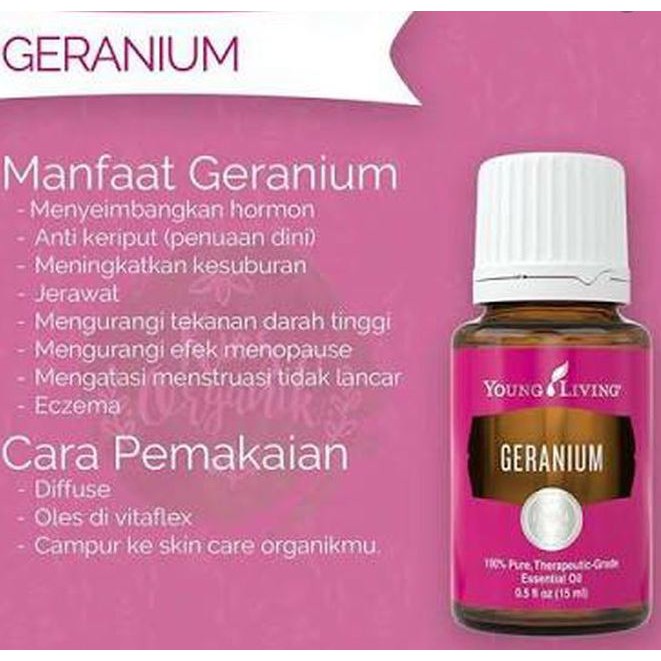 Buy Young Livings Yl Geranium Essential Oil 15ml Sweethome Free Gift Seetracker Malaysia