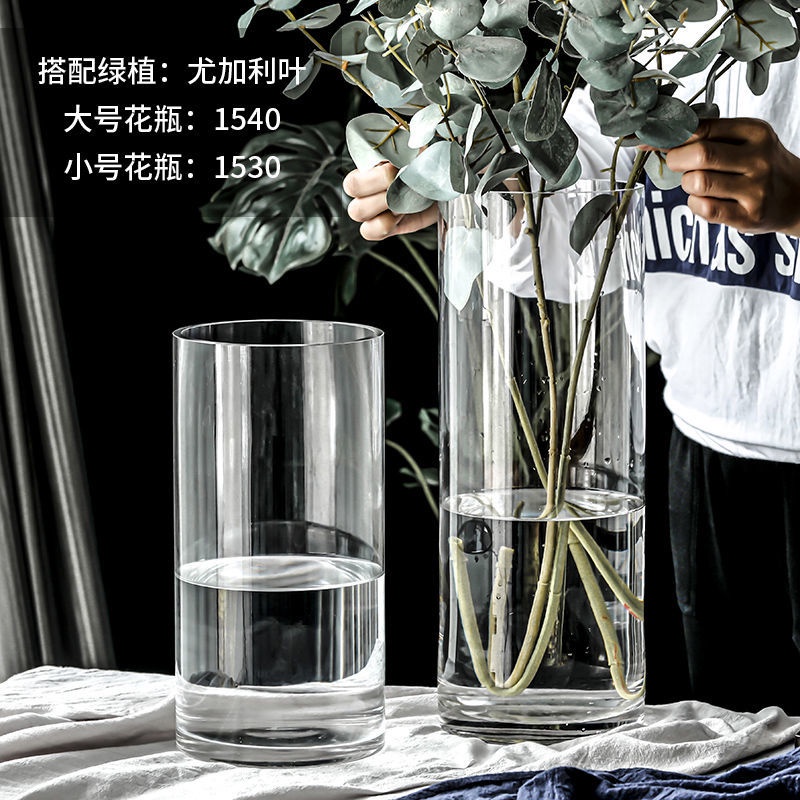 Buy 玻璃透明花瓶马醉木银柳富贵竹北欧简约直筒高款大码摆件客厅插花 Seetracker Malaysia