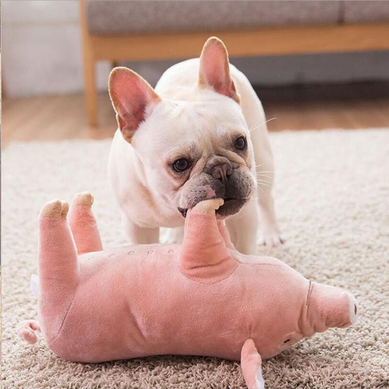 funny dog toys