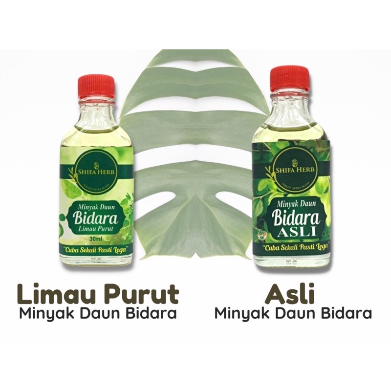 SHIFA HERB Minyak Daun Bidara Asli Limau Purut 30ml Ready Stock Traditional Herb Oil