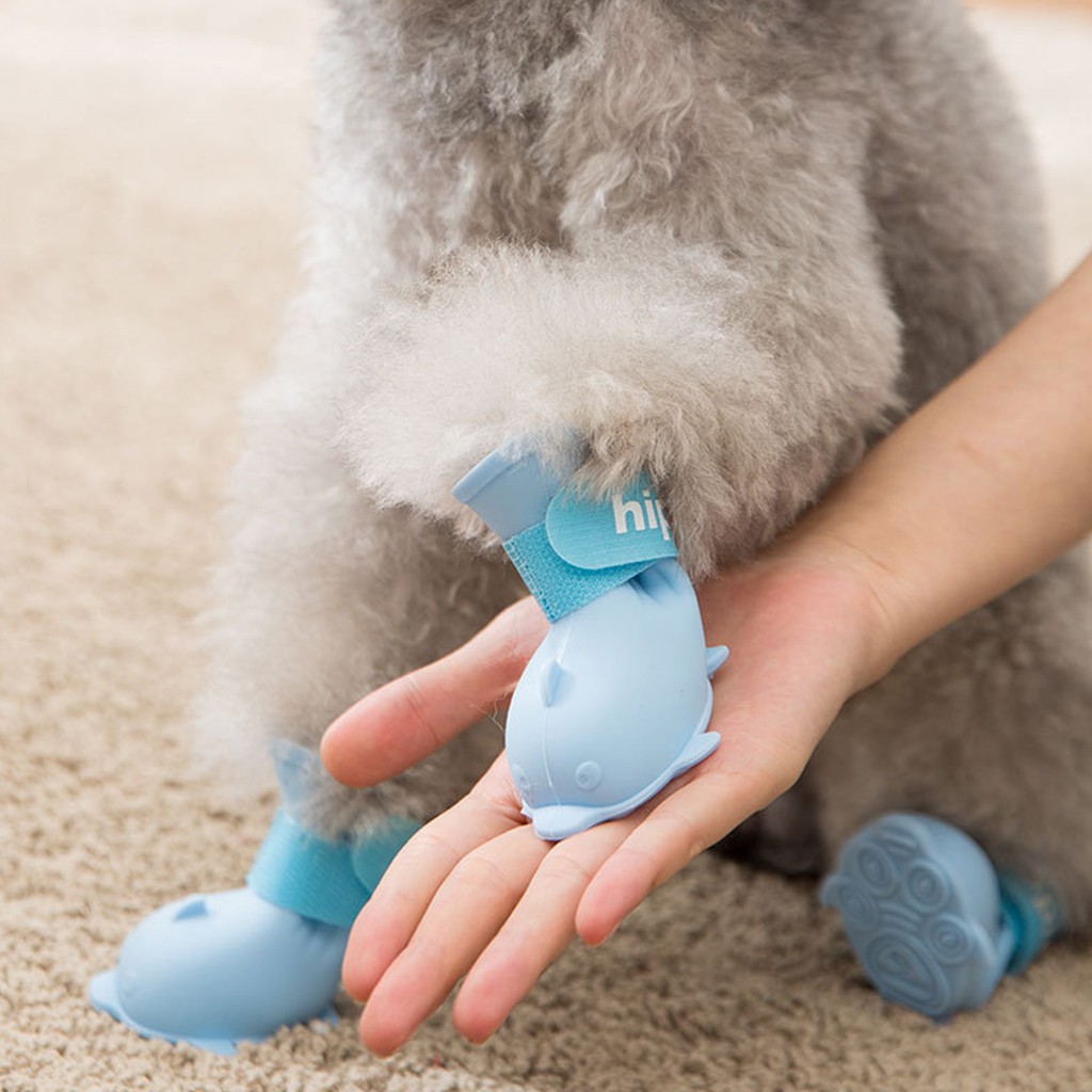 little boots for dogs