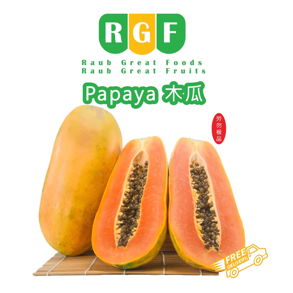 Local Fresh Hong Kong Papaya betik 1.3kg to 1.5Kg + - per Piece ✅Helps lose weight