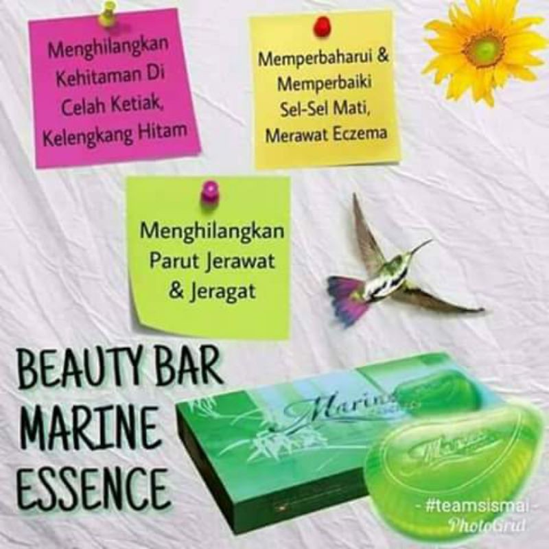 Marine Essence Beauty Bar Soap Borong Sabun Muka Skincare Jerawat Panau Eczema Sabun Gatal Garam Buluh Hand Wash Orchid Shopee Malaysia