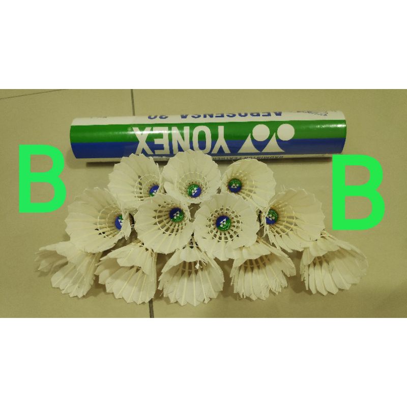 protech shuttlecock platinum