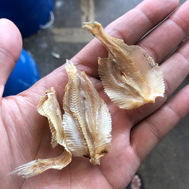 Ikan Bunga Air 500g Shopee Malaysia Ikan Bunga Air 500g Shopee Malaysia